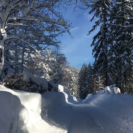 Fewoschliersee *